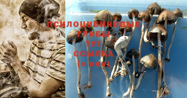 PSILOCYBIN Балабаново