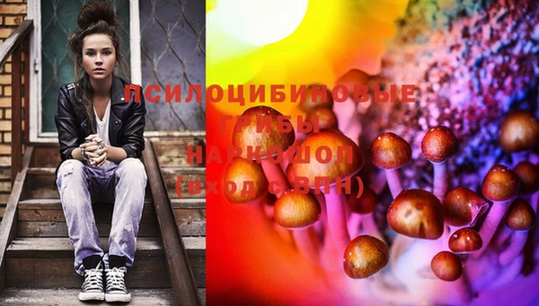 spice Баксан