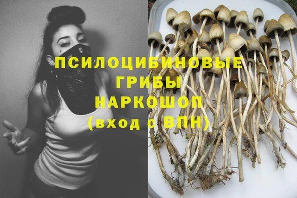 PSILOCYBIN Балабаново