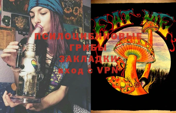 PSILOCYBIN Балабаново