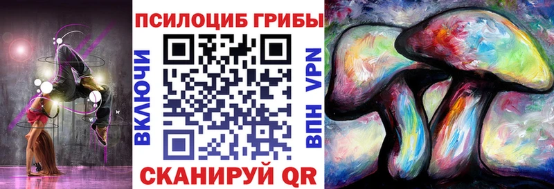 Галлюциногенные грибы Psilocybe  купить закладку  Шебекино 