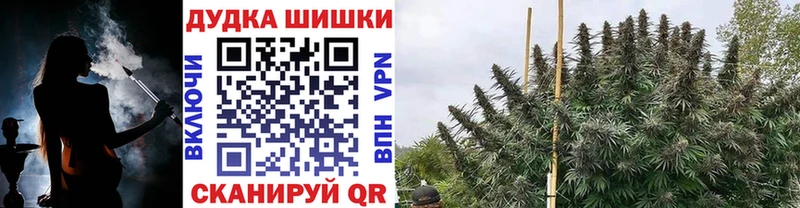 Бошки Шишки AK-47  Шебекино 